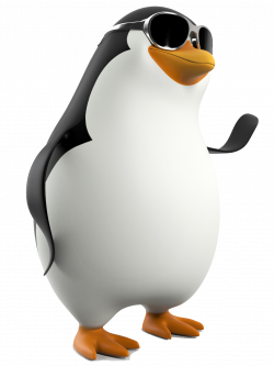 Penguin PNG | Animal PNG | Pinterest | Penguins and Animal