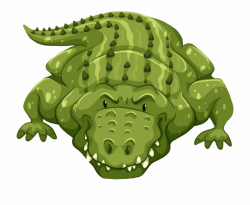 Crocodile Clipart Jungle - Crocodile Green Color ...