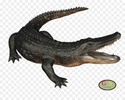 Alligator Cartoon clipart - Crocodile, Crocodiles, Game ...