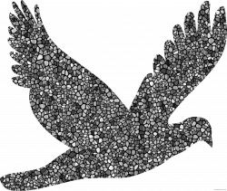 Flying Dove Animal free black white clipart images clipartblack ...