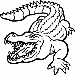 28+ Collection of Crocodile Clipart Black And White | High quality ...