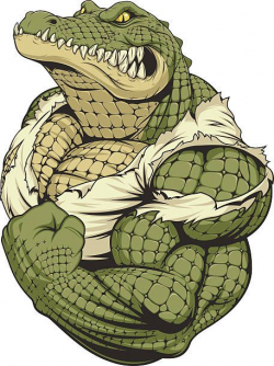Vector illustration, a ferocious alligator bodybuilder ...