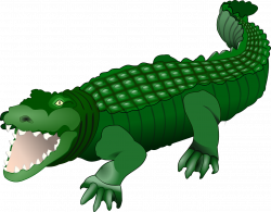 Crocodile,alligator,animal,reptile,green - free photo from needpix.com