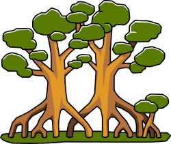 28+ Collection of Swamp Tree Clipart | High quality, free cliparts ...