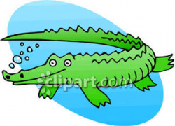 Cartoon Crocodile Swimming Under Water - Royalty Free ...