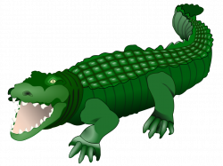 Crocodile Transparent PNG Pictures - Free Icons and PNG Backgrounds