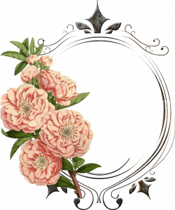 vintage flower png - Поиск в Google | Frames | Pinterest | Vintage ...