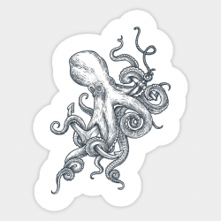 Anchor Clipart octopus 17 - 630 X 630 Free Clip Art stock ...