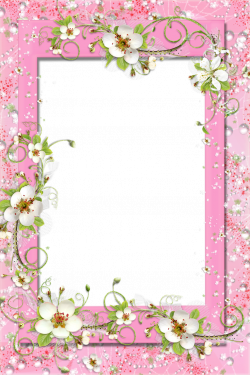 Transparent Pink PNG Frame with Flowers | Photo Frames | Pinterest ...