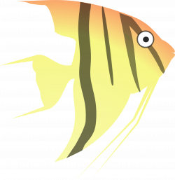 Clipart - cartoon angel fish