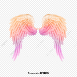 Coloured Angel Wings And Feathers, Seven Colors, Lovely ...
