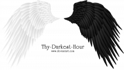 Angel Wings 08 PNG by Thy-Darkest-Hour on DeviantArt
