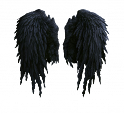 black angel wings stock PNG by Shadow-of-Nemo on deviantART | stock ...