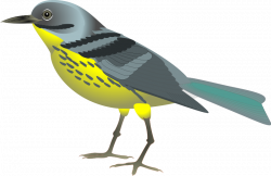 Bird graphics clip art - Clipartix