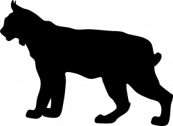 Boxer Bobcat Silhouette Clip art - lynx 789*577 transprent Png Free ...