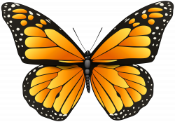 Orange Butterfly PNG Clip Art - Best WEB Clipart
