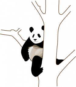 Cute Panda Bear Clipart & Animations