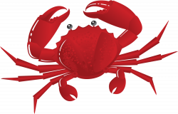Crab PNG Transparent Images | PNG All | animal images | Pinterest ...