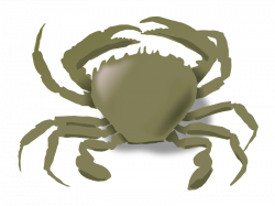 Clipart - the crab