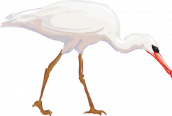 Heron Bird Great egret Clip art - Flat mouth Birds 800*541 ...