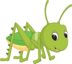 Grasshopper cricket clipart animal pencil and in color ...