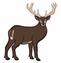Clipart - deer - coloured