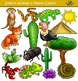 Desert Clipart Set - Desert Animals and Elements