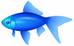 Blue Fish PNG Clipart Image - Best WEB Clipart