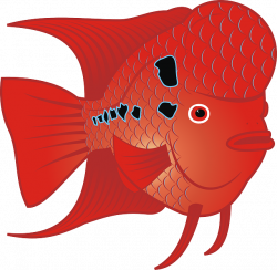 ANIMALS, RED, FLOWER, CARTOON, FISH, HORN, SCALES - Public Domain ...