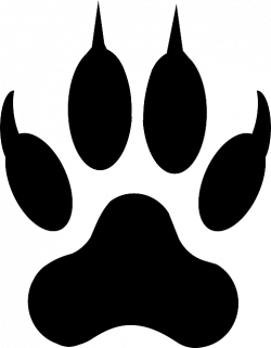 Free Image on Pixabay - Wolf, Footprint, Lion, Tiger, Paw ...