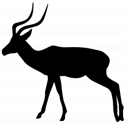 Gazelle Silhouette PNG Transparent Clip Art Image | Gallery ...