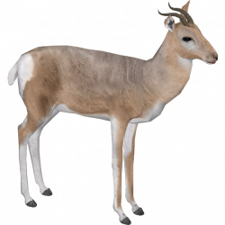 Mongolian Gazelle (Austroraptor) | ZT2 Download Library Wiki ...