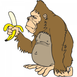Gorilla Ape Banana Animation Clip art - gorilla 800*800 transprent ...