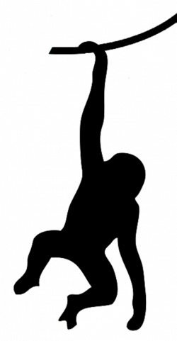 Gorilla Silhouette Png at GetDrawings.com | Free for personal use ...
