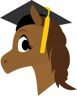 Graduation Horse