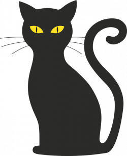 Obrázok zadarmo na Pixabay - Mačka, Halloween, Silueta, Mačička ...