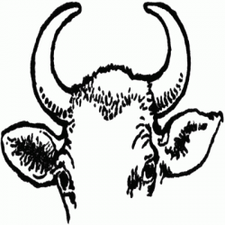 Free Animal Horns Cliparts, Download Free Clip Art, Free ...