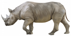 Rhino PNG Clipart - Best WEB Clipart