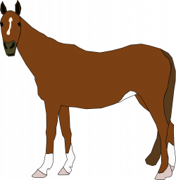 Clipart - horse