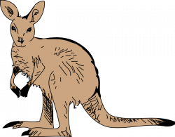 Kangaroo animal clipart pictures free org - Clipartix