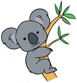 cartoon koala - Google Search | 