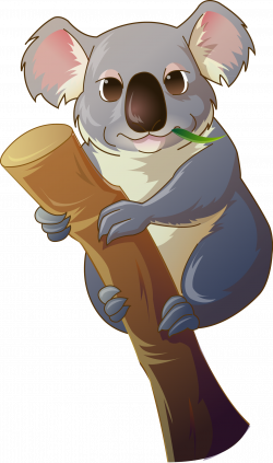 Koala Bear Clip art - Lazy koala 1369*2320 transprent Png Free ...