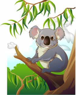 Koala Clip art - Lovely koala 1694*2136 transprent Png Free Download ...