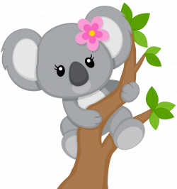 0_103df2_d4a0a275_orig (1202×1280) | Koala World of Cuteness ...