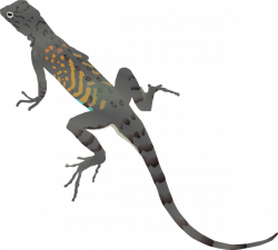 Az-lizard Clip Art at Clker.com - vector clip art online, royalty ...