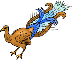 Free Peacock Clipart