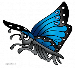 Rainforest Animals Clip Art by Phillip Martin, Morpho Butterfly