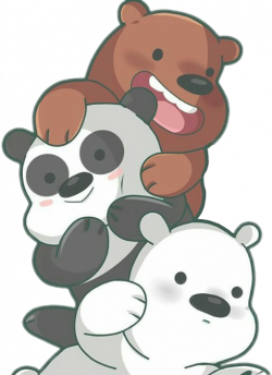 osos panda pardo polar animals kawaii boing somososos...