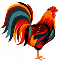 456_rooster [преобразованный].png | Pinterest | Bird, Folk art and ...