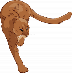 Free Cougar Clipart